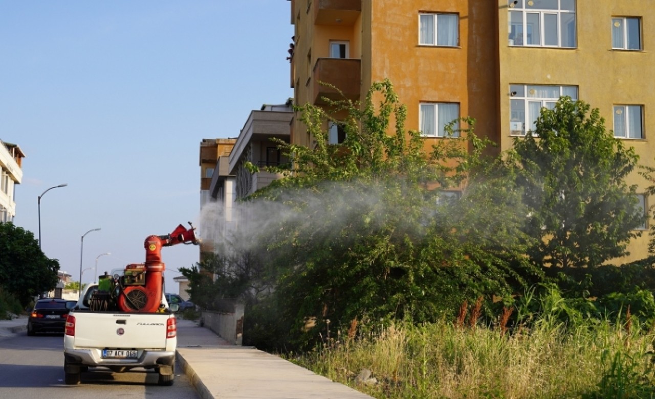 Haşerelere karşı ilaçlama