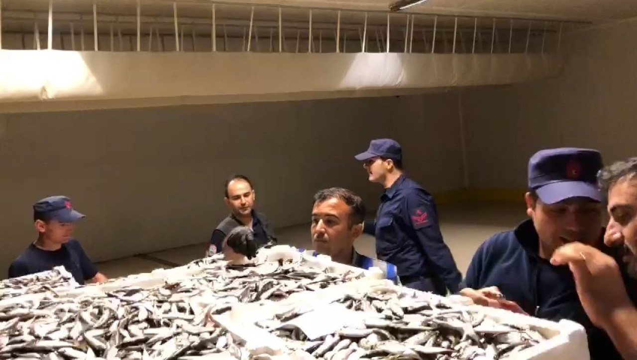 3 ton istavrite el konuldu