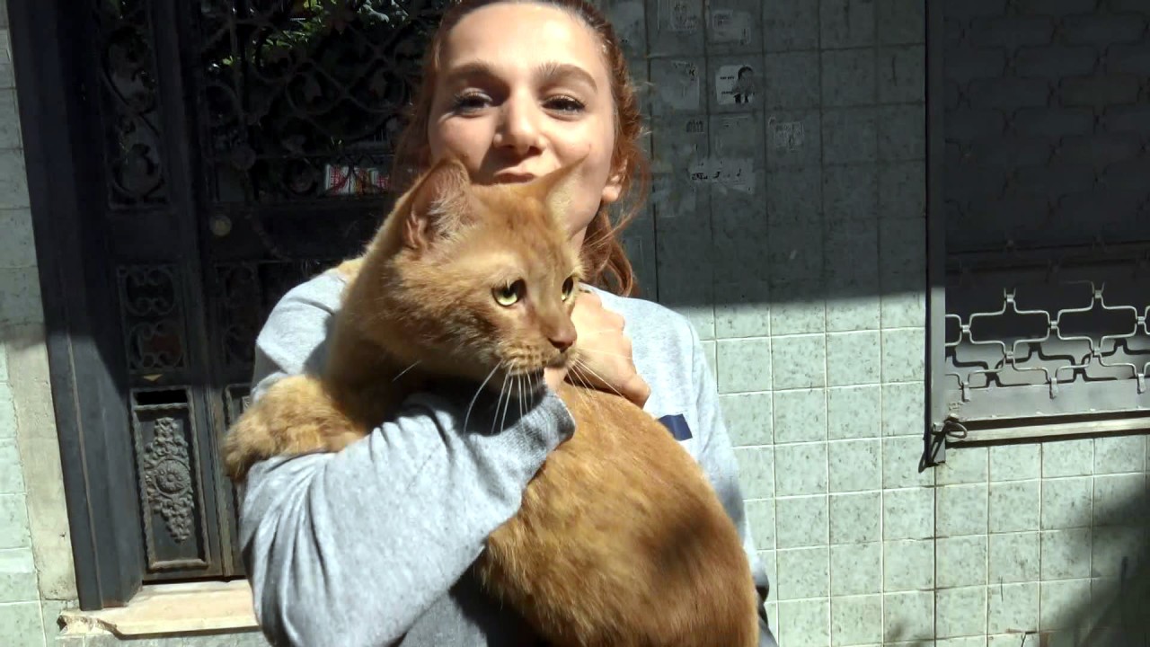 İtfaiye hızır gibi yetişti