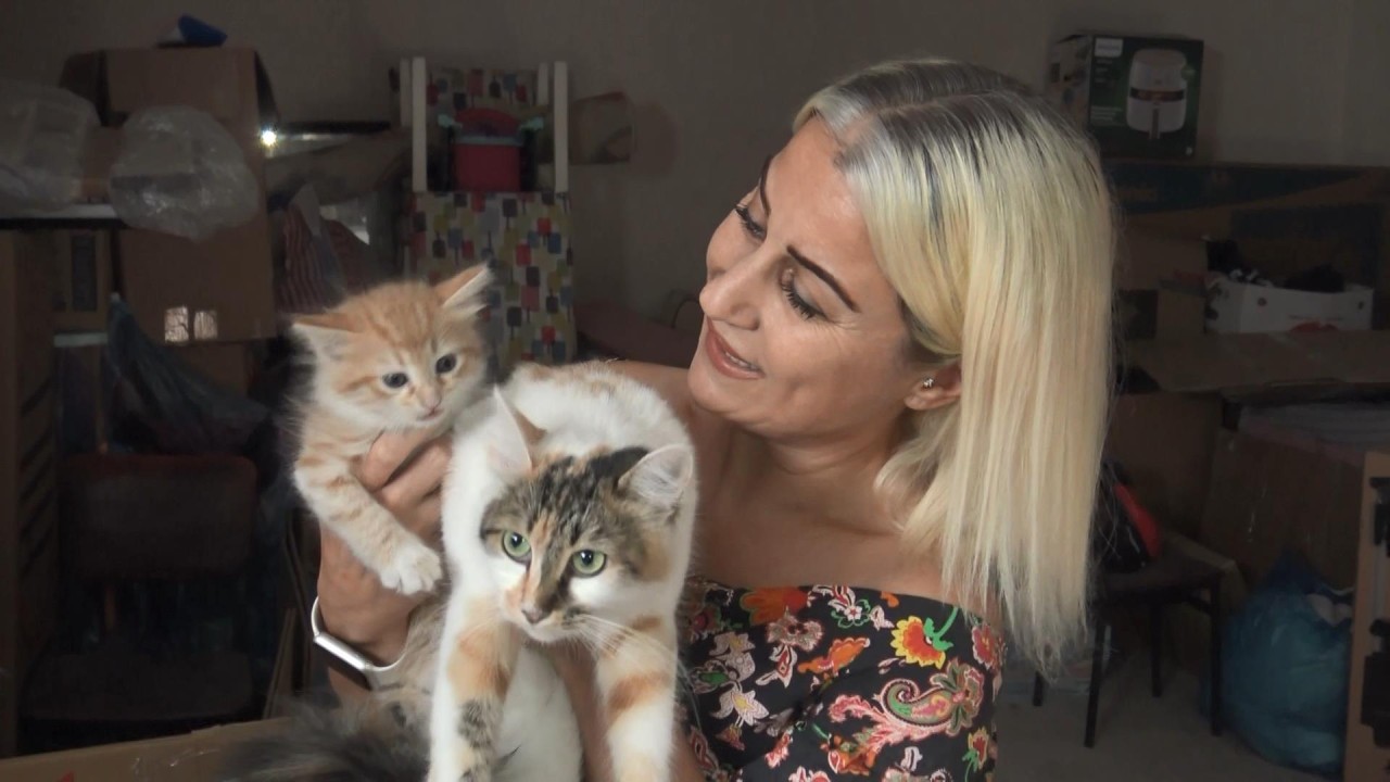 15 kiloluk mama çalındı