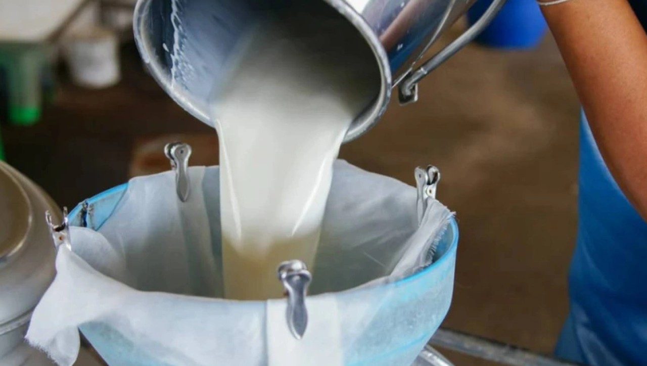 Çiğ süte zam geldi