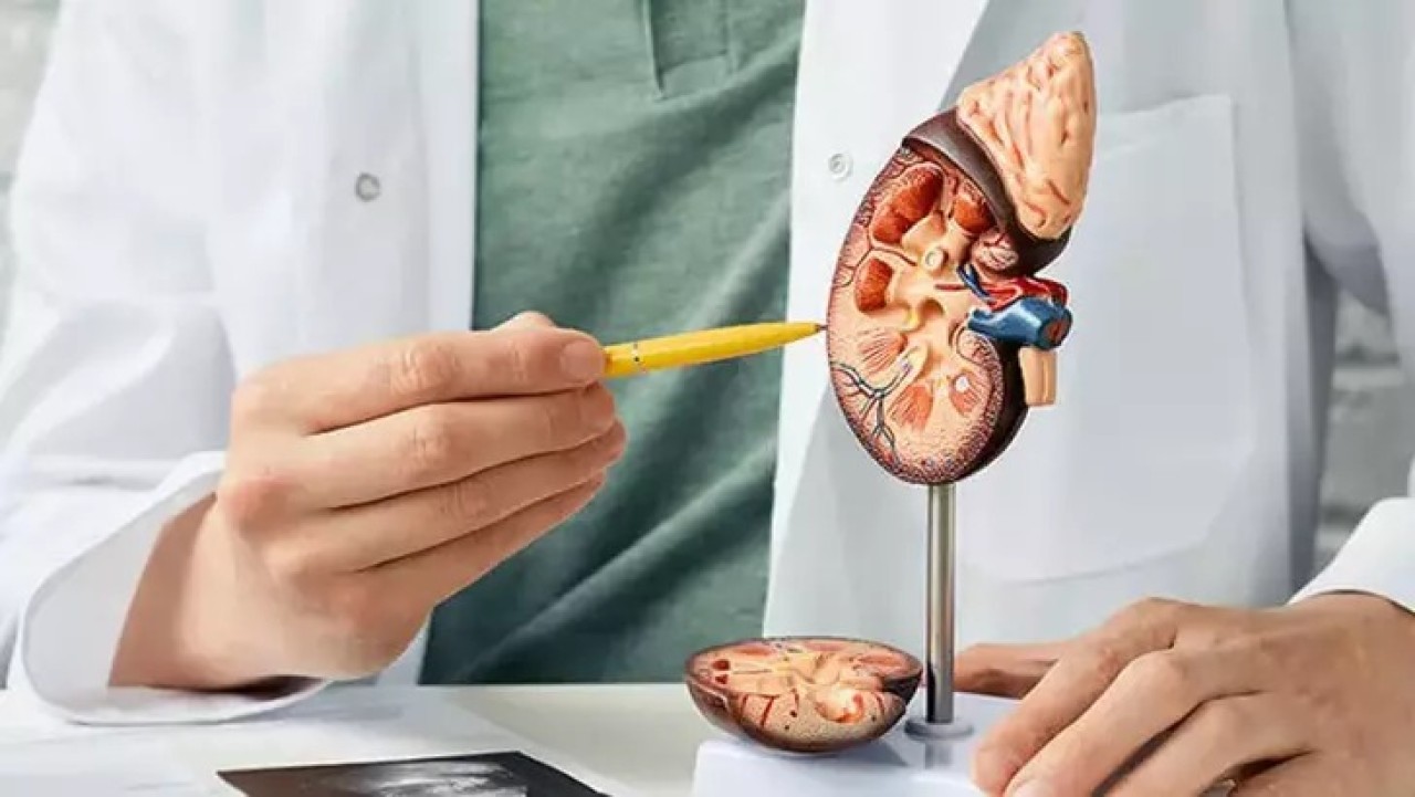 Teknoloji bağımlılığı böbrek taşı yapabilir