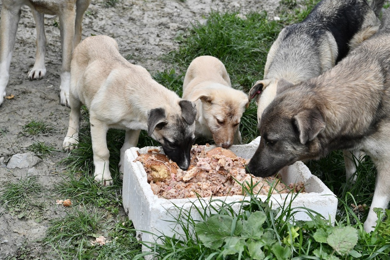 Can dostlara el uzatıldı