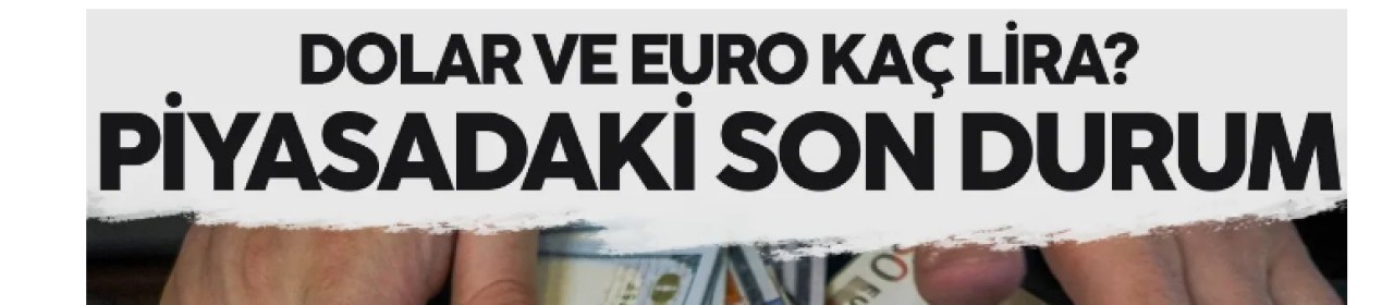 1 dolar kaç TL? 11 Ocak 2024 güncel döviz kuru dolar, euro, gram ve çeyrek altın fiyatları
