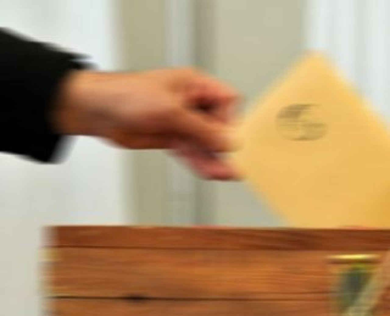 Nerede oy kullanacağım?