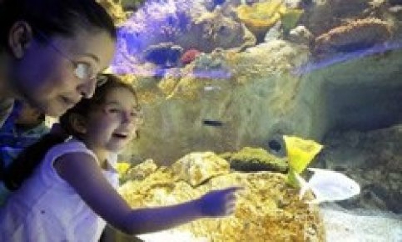 Vatandaş çok pahalı dedi Başbakan jest yaptı