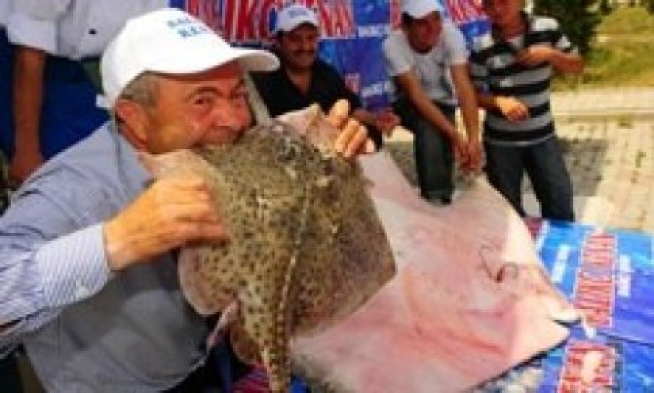 Akvaryum'daki vatozlar ucuz kurtulmuş