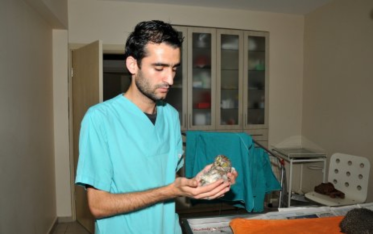 Beylikdüzü Belediyesi’nden hayvanlara şefkat eli