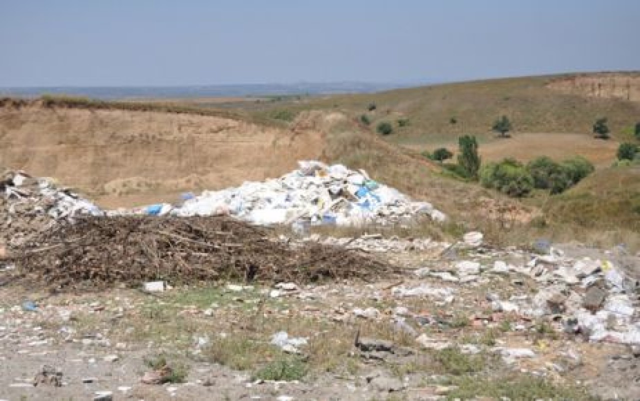 Silivri'de çevre katliamı