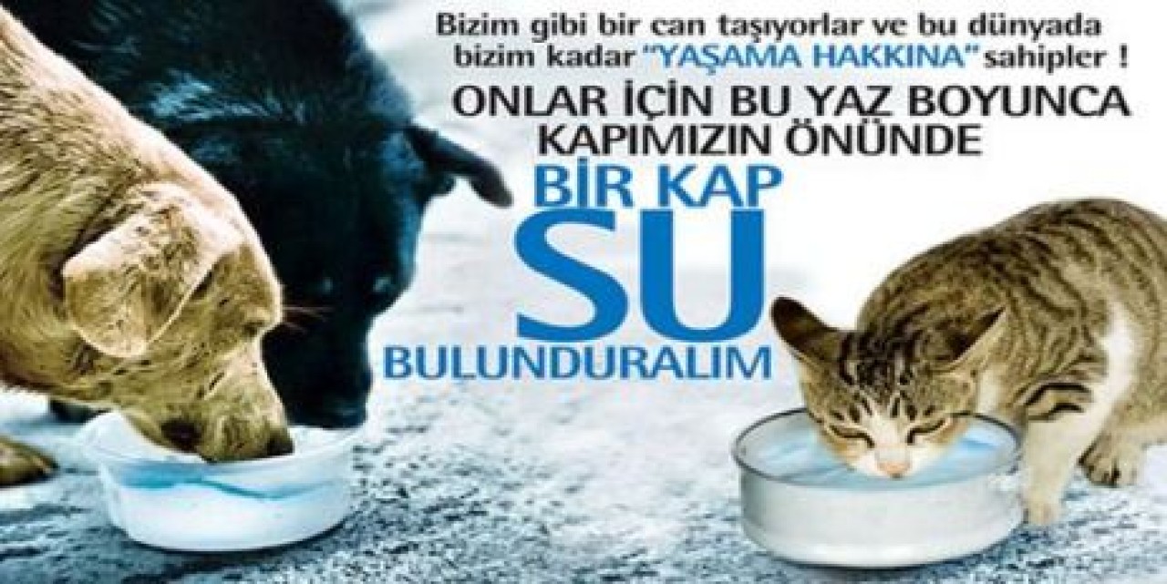 Evinizin önüne bir kap su koyun