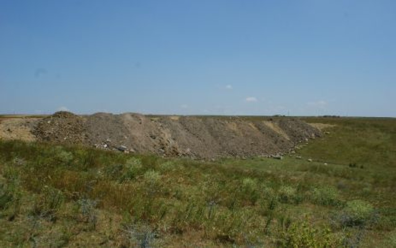 CHP’li Meclis üyesinden çevre katliamı
