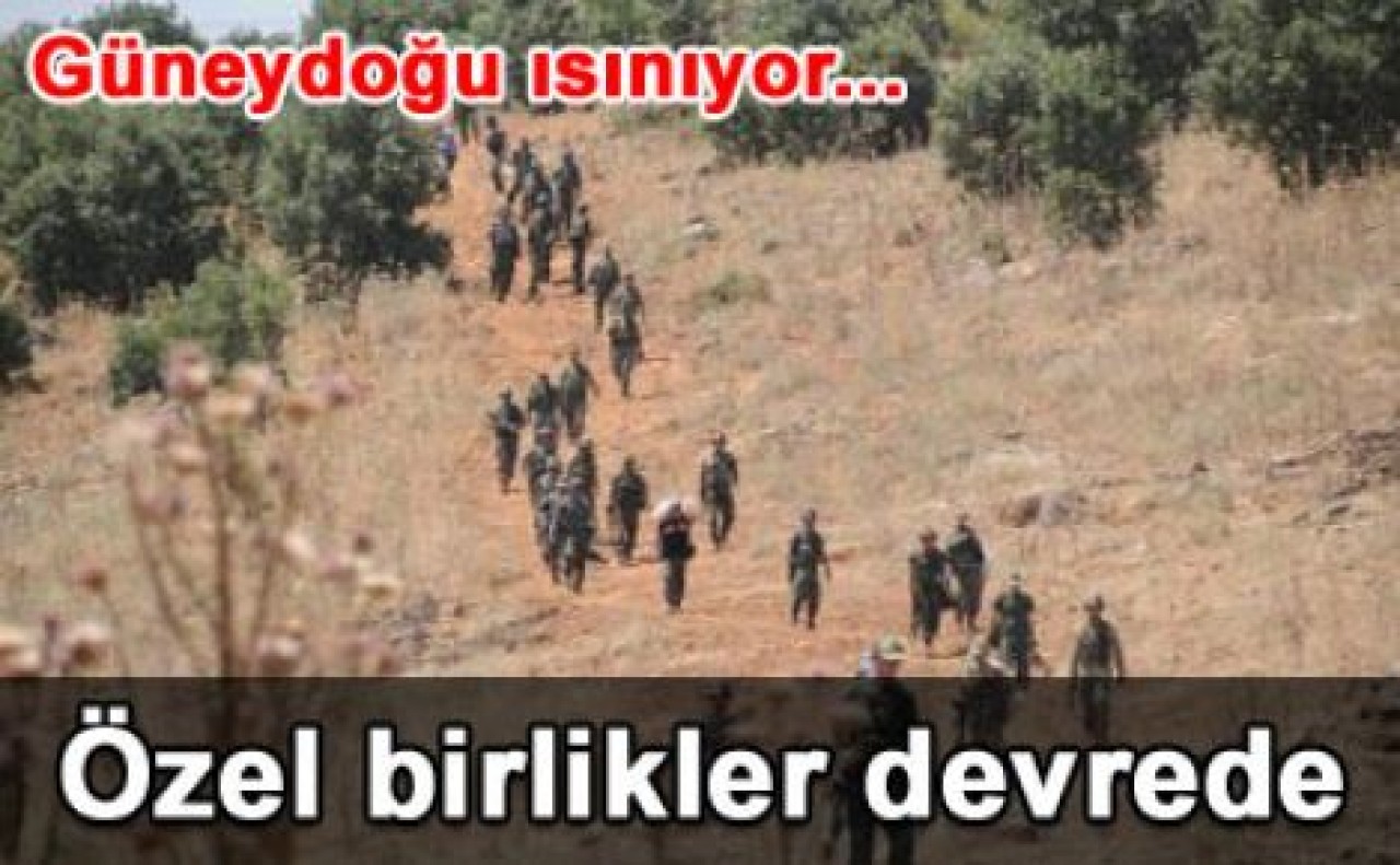 Sınırda hareketli anlar...