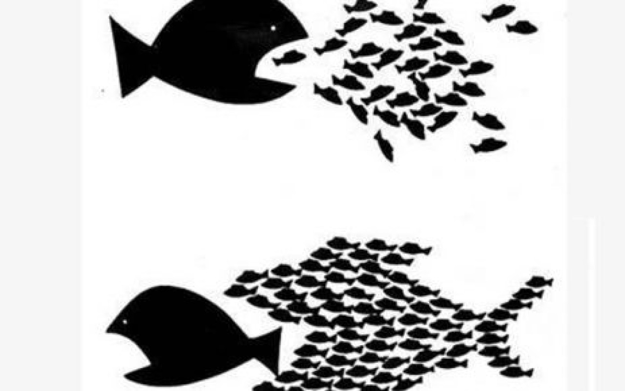 BÜYÜK BALIK SİZİ HAM YAPMASIN!