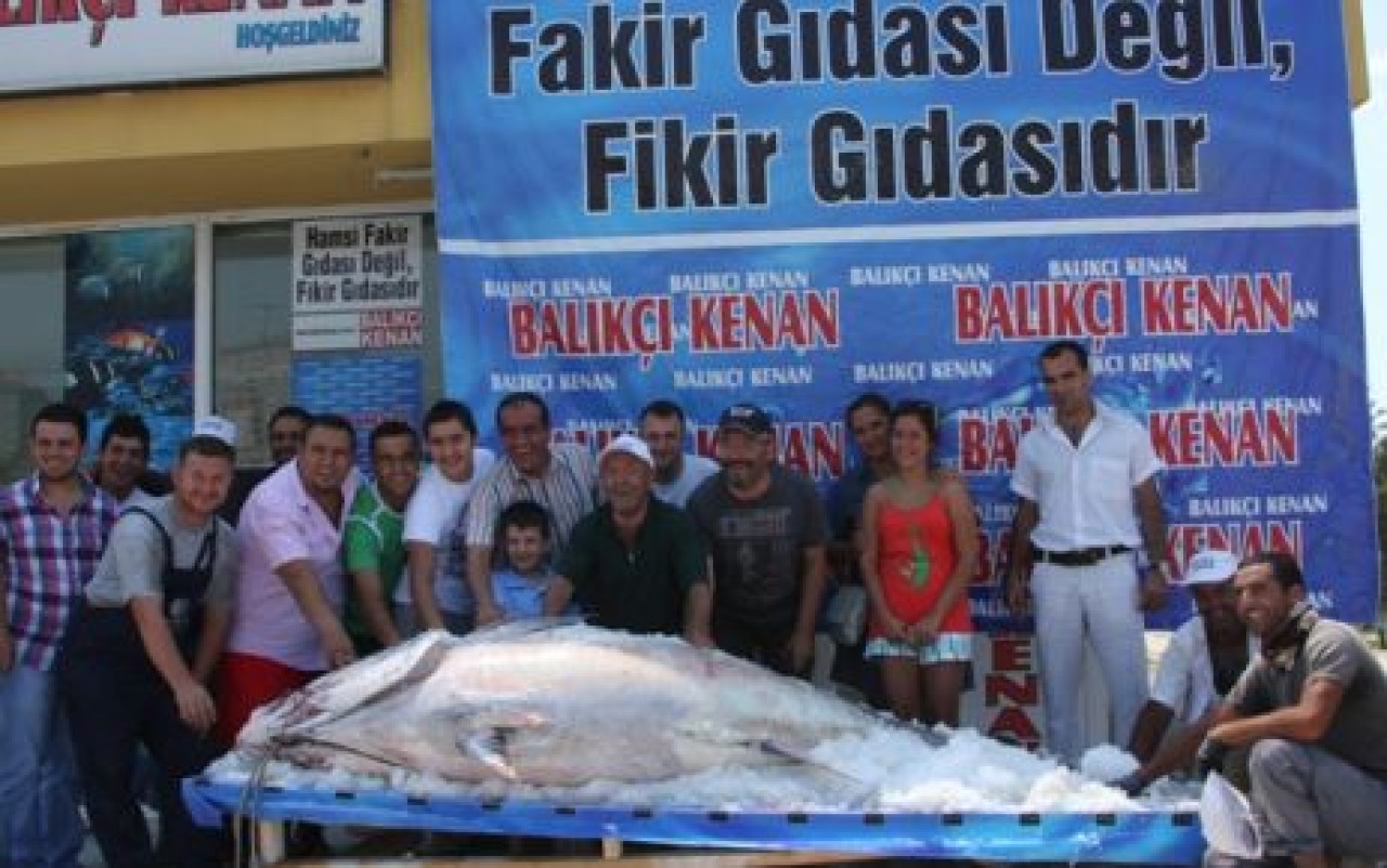 1 TONLUK TONBALIĞI!