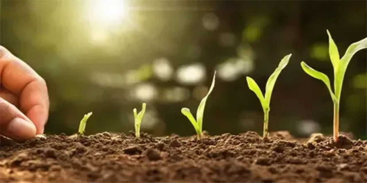 5 Aralık Dünya Toprak Günü