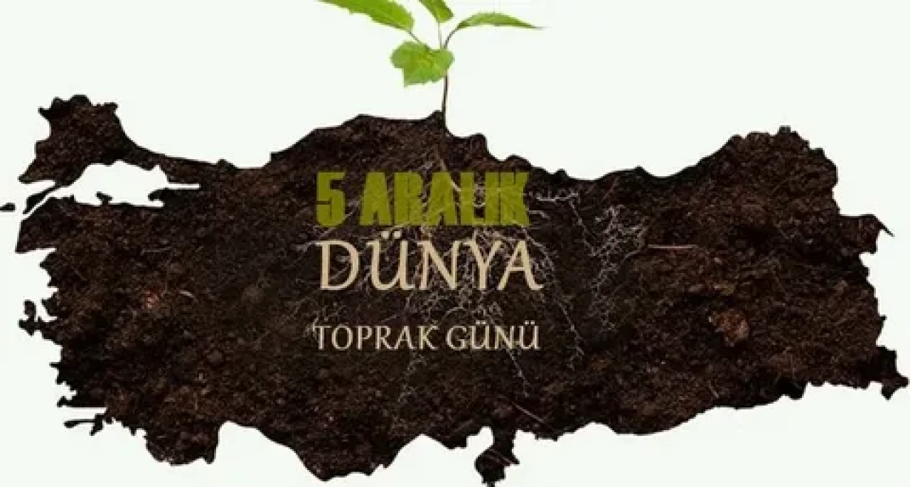 Biliyorsun, Sorumlusun!