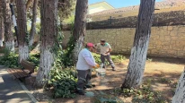 Beylikdüzü'nde Park Yenileme Çalışması