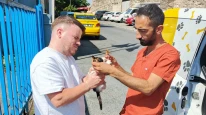 Fatih Belediyesi'nden Sokak Hayvanlarına Koruyucu Aile Modeli