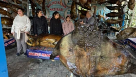 Özel çocuklar Türkiye Deniz Canlıları Müzesi’ni ziyaret etti