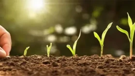 5 Aralık Dünya Toprak Günü