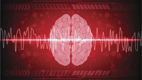 Ölüm anında beyin aktivitesi ilk kez görüntülendi...