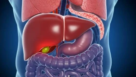 KARACİĞERE CİDDİ HASAR VEREN 5 HATA!