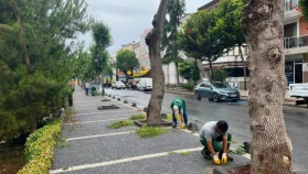 Silivri Belediyesi Park ve Yeşil Alanlarda Çalışmalarını Sürdürüyor