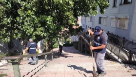 Maltepe'de Temizlik Harekatı