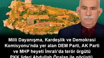 Milli Dayanışma, Kardeşlik ve Demokrasi Komisyonu İmralı'da!