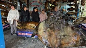 Özel çocuklar Türkiye Deniz Canlıları Müzesi’ni ziyaret etti