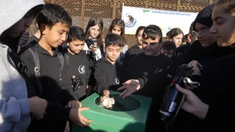 Kartal'da Çevre Bilincini Artıran Çifte Etkinlik