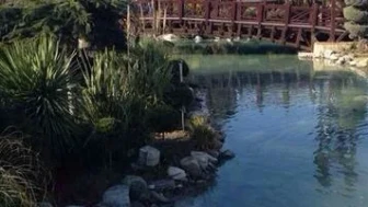 Çay 5 Lira, Muhabbet Sınırsız...