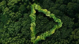 Yeşil Vatan Kısa Film Yarışması’nda finalistler belli oldu