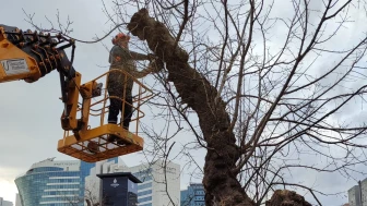 İSTANBUL’DA LODOS ETKİLİ OLUYOR