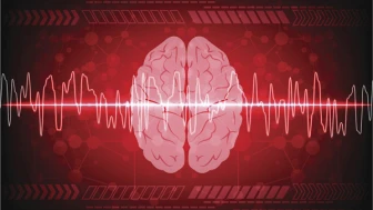 Ölüm anında beyin aktivitesi ilk kez görüntülendi...