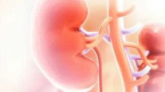 Sessiz İlerleyen Böbrek Yetmezliği 7 Sinyal Veriyor