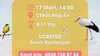 Kuşların gizli evleri