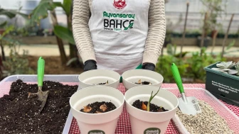 Ayvansaray Bahçe Bahara Hazır