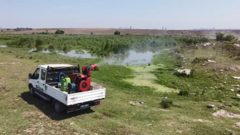 İBB’den yaz öncesi sivrisinek seferberliği
