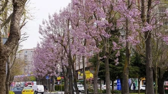 Beylikdüzü’nde Bahar Hazırlığı