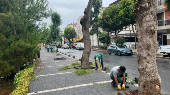 Silivri Belediyesi Park ve Yeşil Alanlarda Çalışmalarını Sürdürüyor