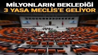 Türkiye Büyük Millet Meclisi'nin (TBMM) gündeminde yeni haftada milyonları ilgilendiren üç düzenleme olacak.