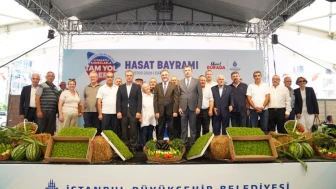 Çatalca'da Hasat Heyecanı