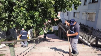 Maltepe'de Temizlik Harekatı