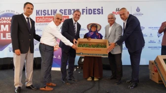 İBB'den Çiftçilere Kışlık Sebze Fidesi