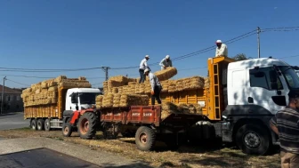 Silivri Belediyesi'nden Üreticiye Destek