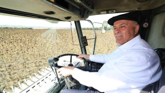 Ayçiçek Hasat Şenliği Silivri'de Yapıldı