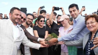 Tuzla'da Deniz Çayırı Ekimi Projesi
