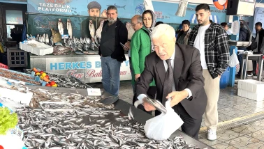 HAMSİ UCUZLADI TEZGAHLAR ŞENLENDİ