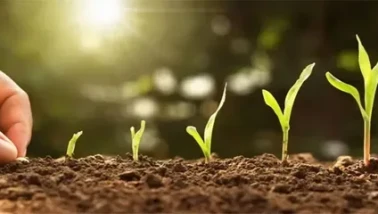 5 Aralık Dünya Toprak Günü